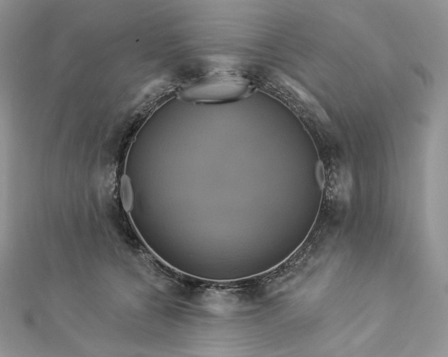 X0000112890560200909041704