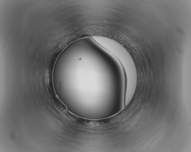 X0000112890562200909041704