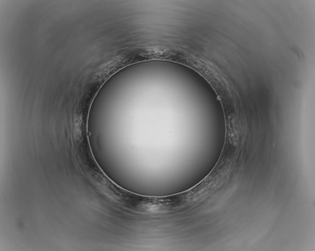X0000112890563200909041704