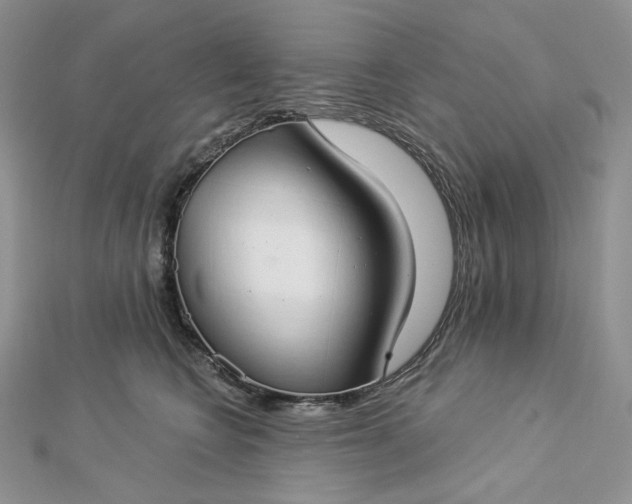 X0000112890566200909041704