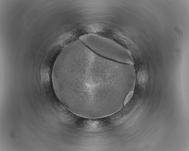 X0000112890570200909041704