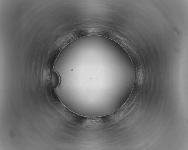 X0000112890571200909041704