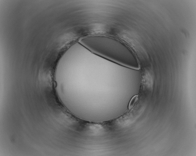 X0000112890572200909041704