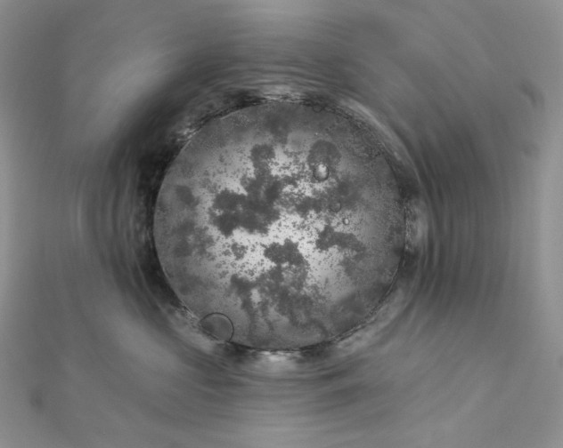 X0000112890573200909041704