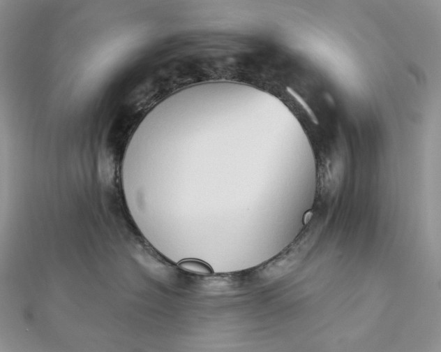 X0000112890574200909041704