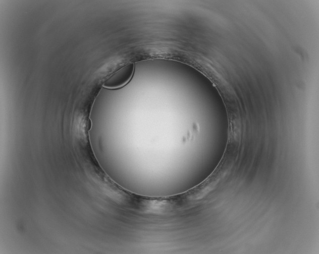 X0000112890575200909041704