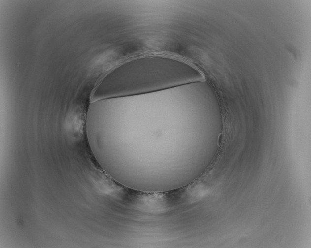 X0000112890576200909041704