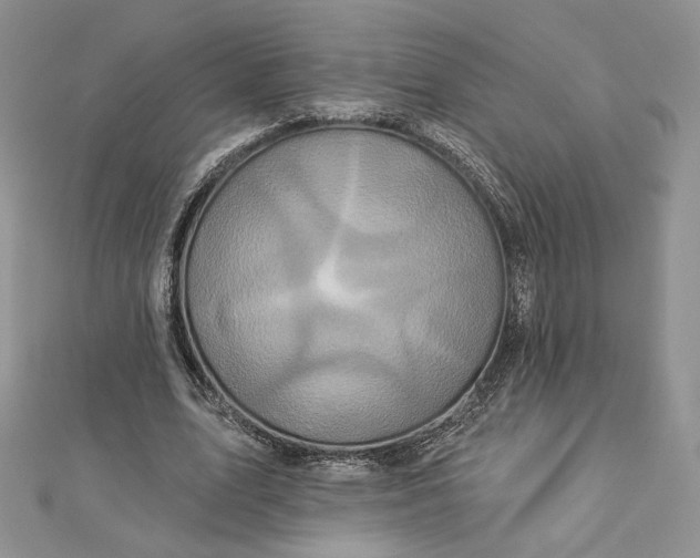 X0000112890583200909041703