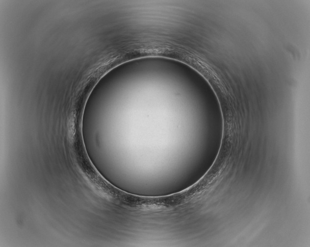 X0000112890586200909041703