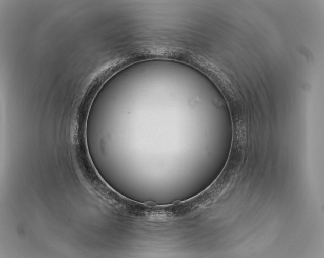 X0000112890587200909041703