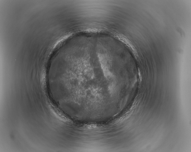 X0000112890588200909041703