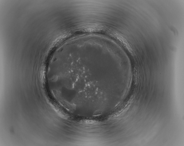 X0000112890590200909041703