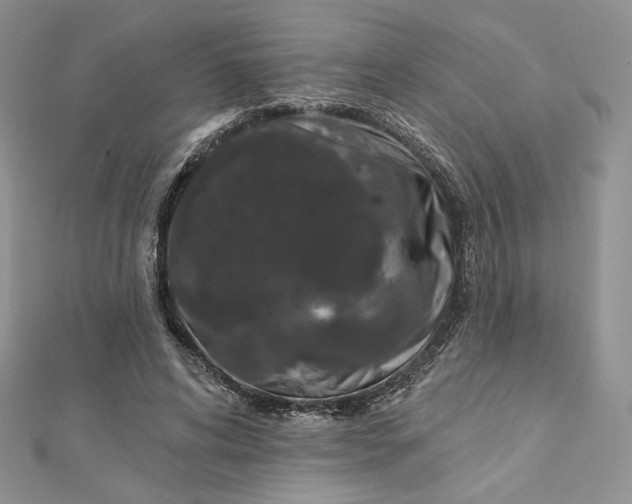 X0000112890592200909041703