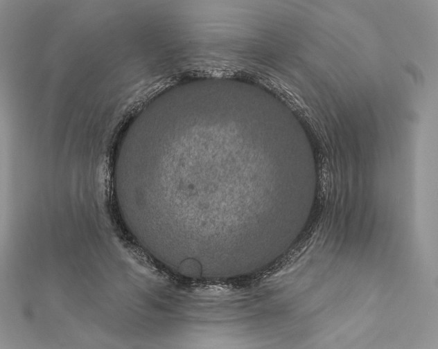 X0000112890594200909041703