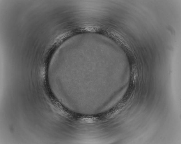X0000112890595200909041703