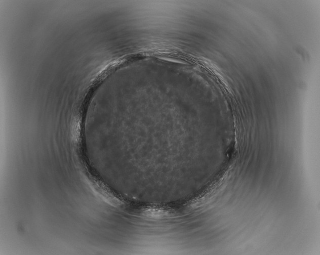 X0000112890596200909041703