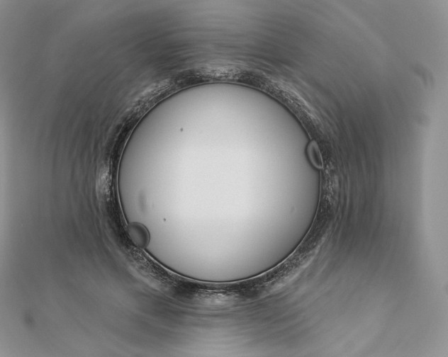 X0000112890597200909041703