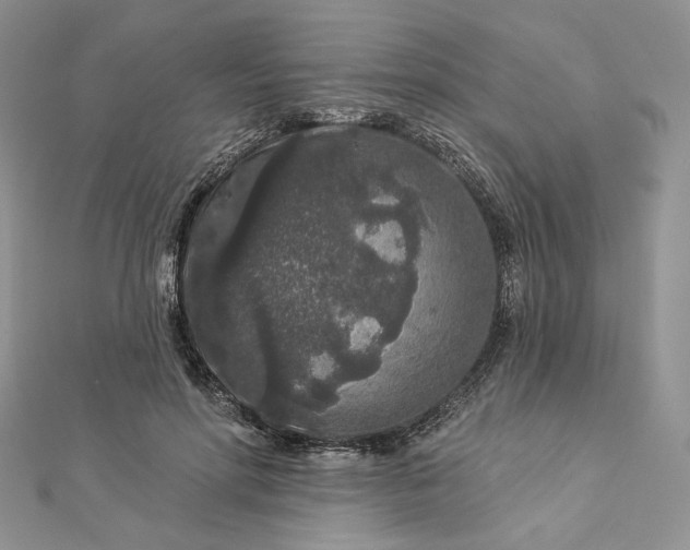 X0000112890598200909041703