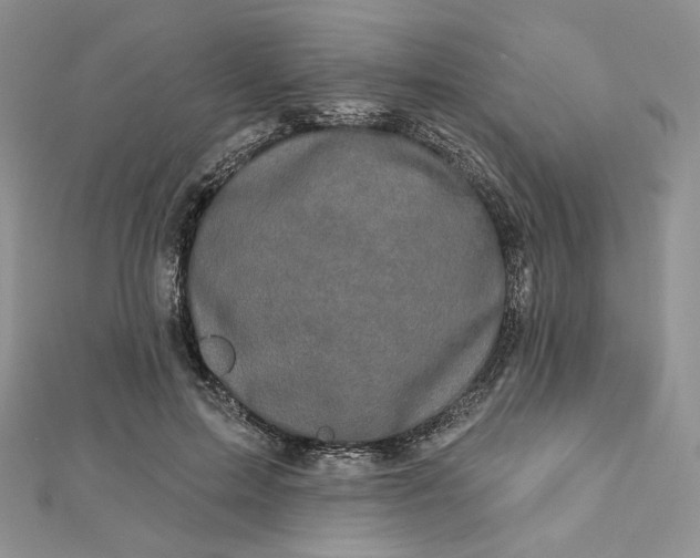X0000112890599200909041703