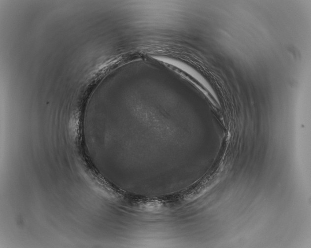 X0000112890600200909041703