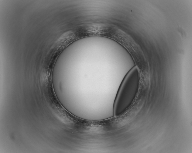 X0000112890601200909041703