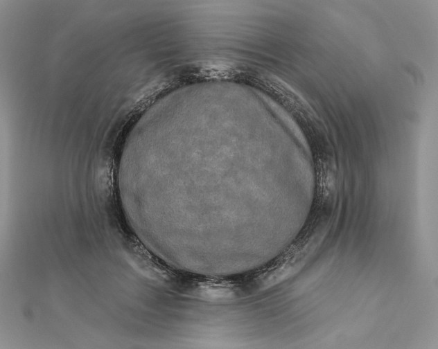 X0000112890603200909041703