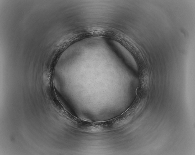 X0000112890604200909041703