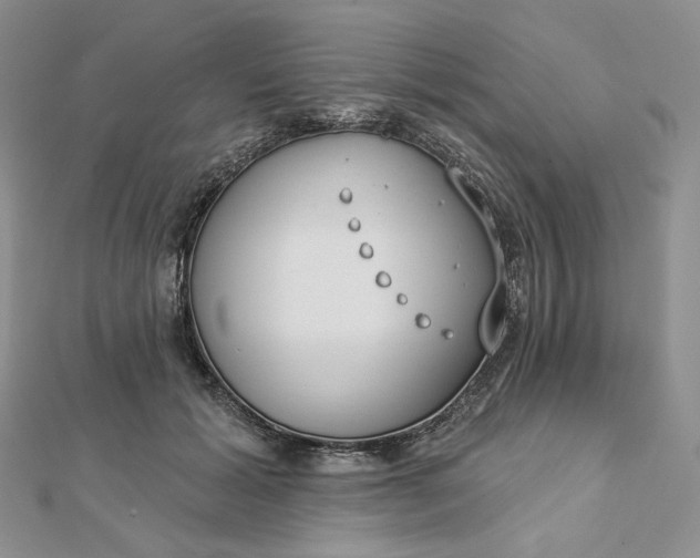 X0000112890605200909041703