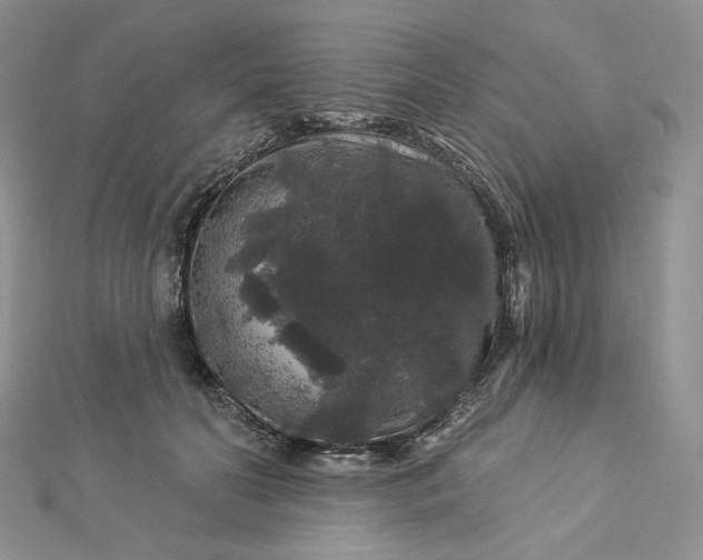 X0000112890606200909041703