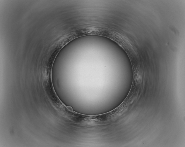 X0000112890607200909041703