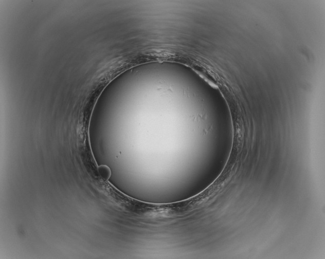 X0000112890609200909041703