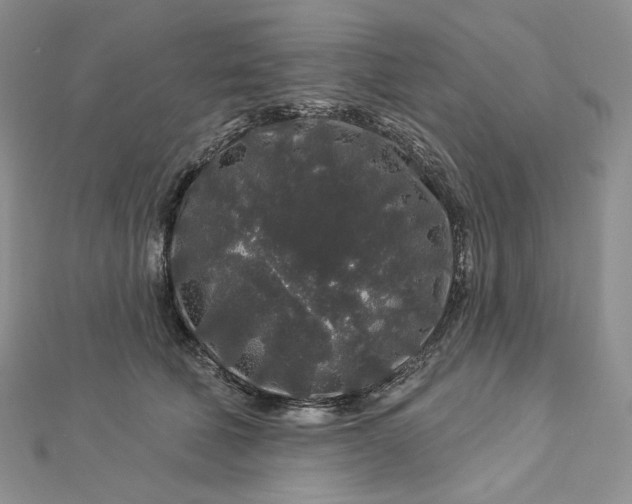 X0000112890610200909041703