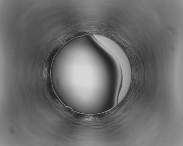 X0000112890611200909041703