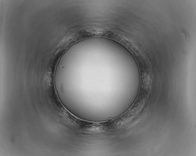 X0000112890612200909041703