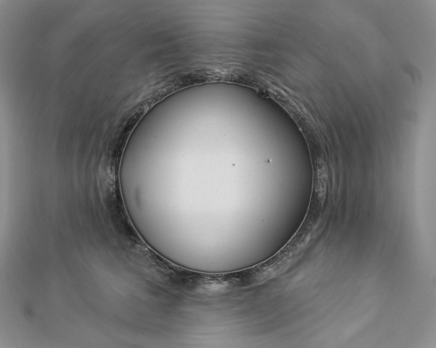 X0000112890613200909041703