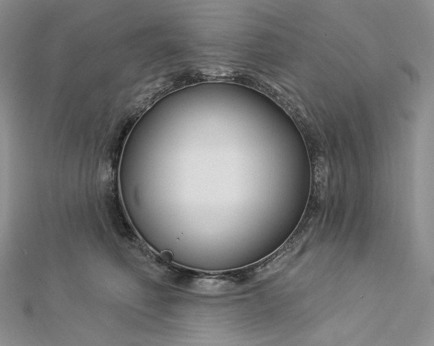 X0000112890614200909041703