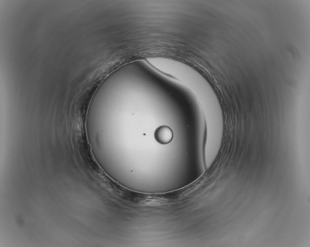 X0000112890617200909041703