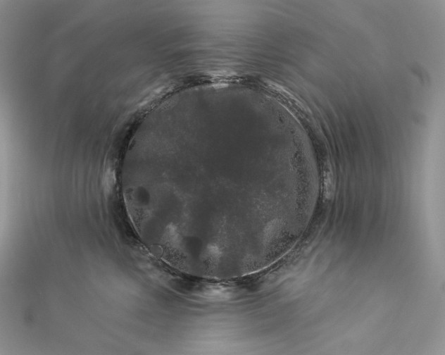 X0000112890618200909041703
