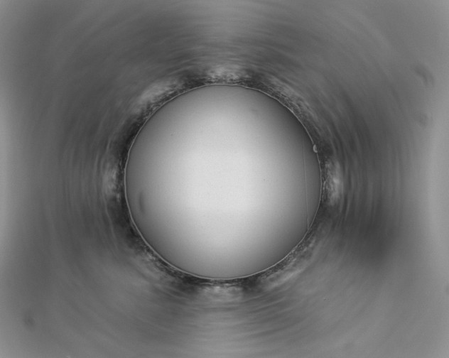 X0000112890619200909041703