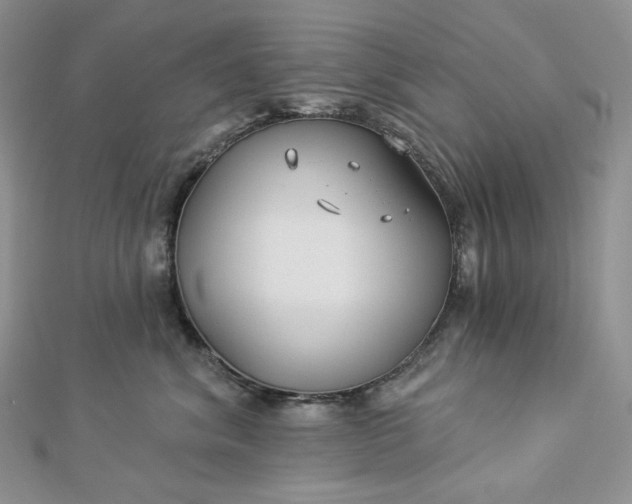 X0000112890620200909041703