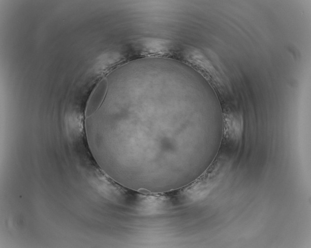 X0000112890621200909041703