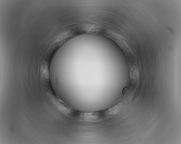 X0000112890622200909041703