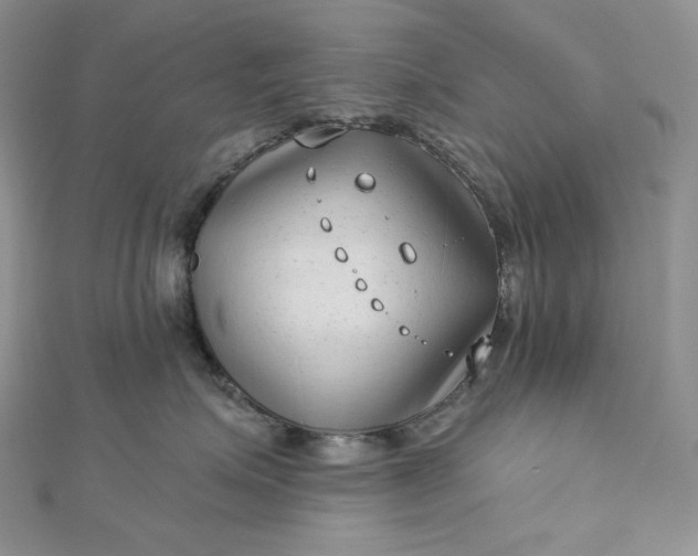 X0000112890623200909041703