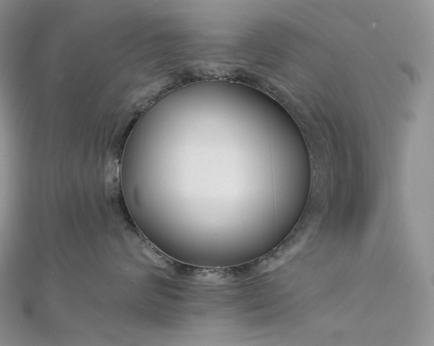 X0000112890624200909041703