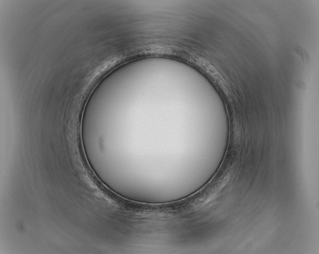 X0000112890625200909041702
