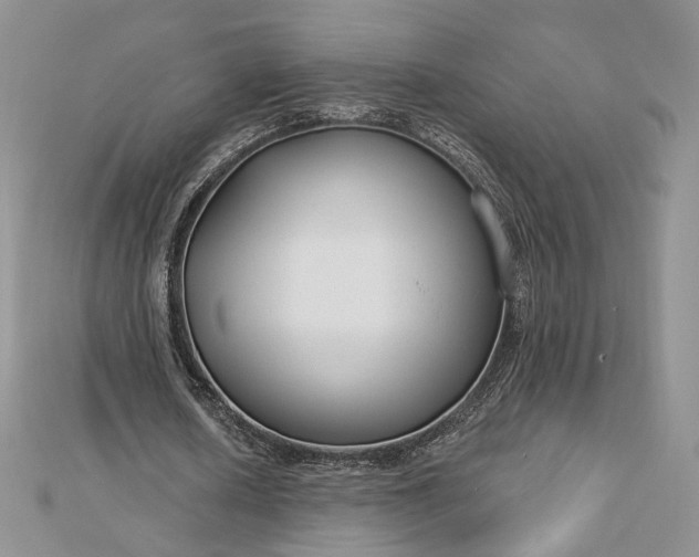 X0000112890626200909041702