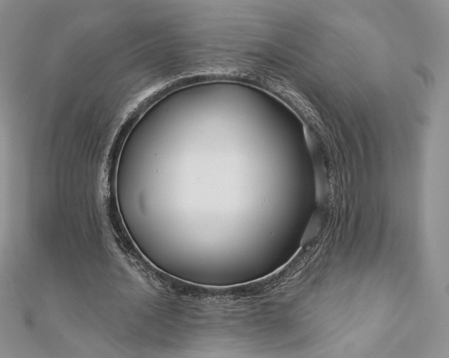 X0000112890628200909041702