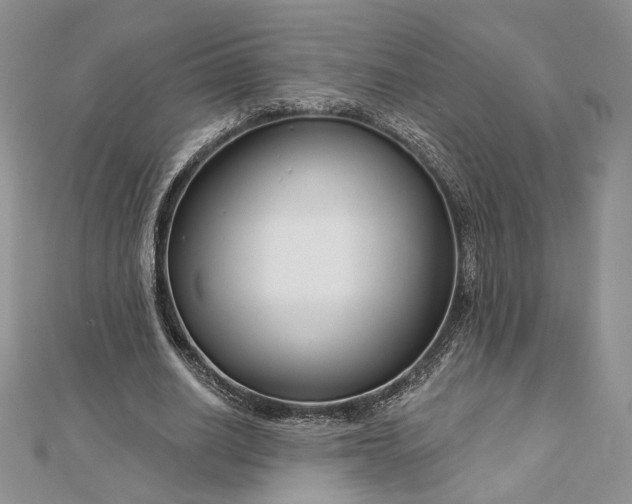 X0000112890630200909041702