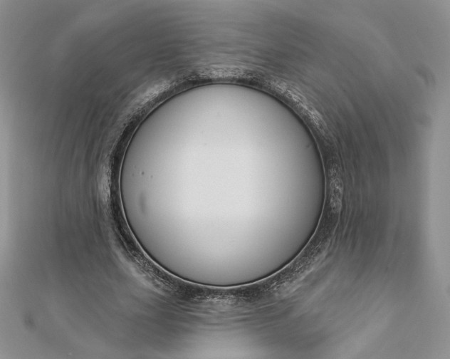 X0000112890631200909041702