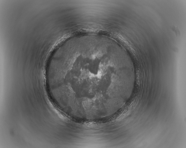 X0000112890634200909041702